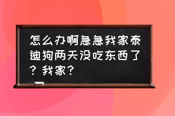 泰迪饿几天才能改掉挑食的坏毛病 怎么办啊急急我家泰迪狗两天没吃东西了?我家? 泰迪饿几天才能改掉挑食的坏毛病 怎么办啊急急我家泰迪狗两天没吃东西了?我家?