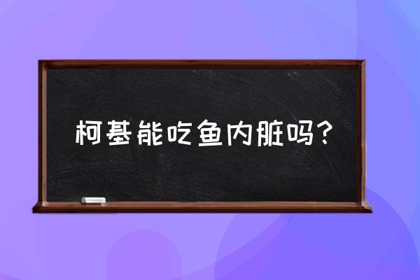 柯基犬除了吃狗粮还能吃什么 柯基能吃鱼内脏吗? 柯基犬除了吃狗粮还能吃什么 柯基能吃鱼内脏吗?